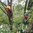 instalace dynamick�ch vazeb